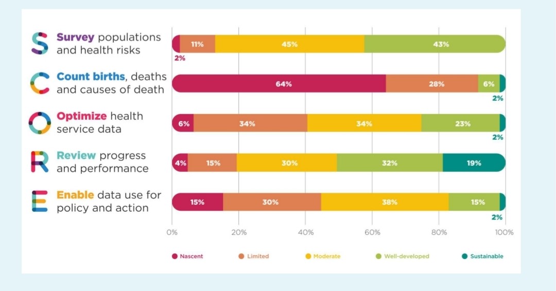 Importance of Data in the African Healthcare System